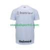 GREMIO Uit Shirt 2023-24